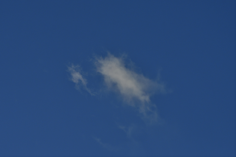 _ROY9425_00001.jpg