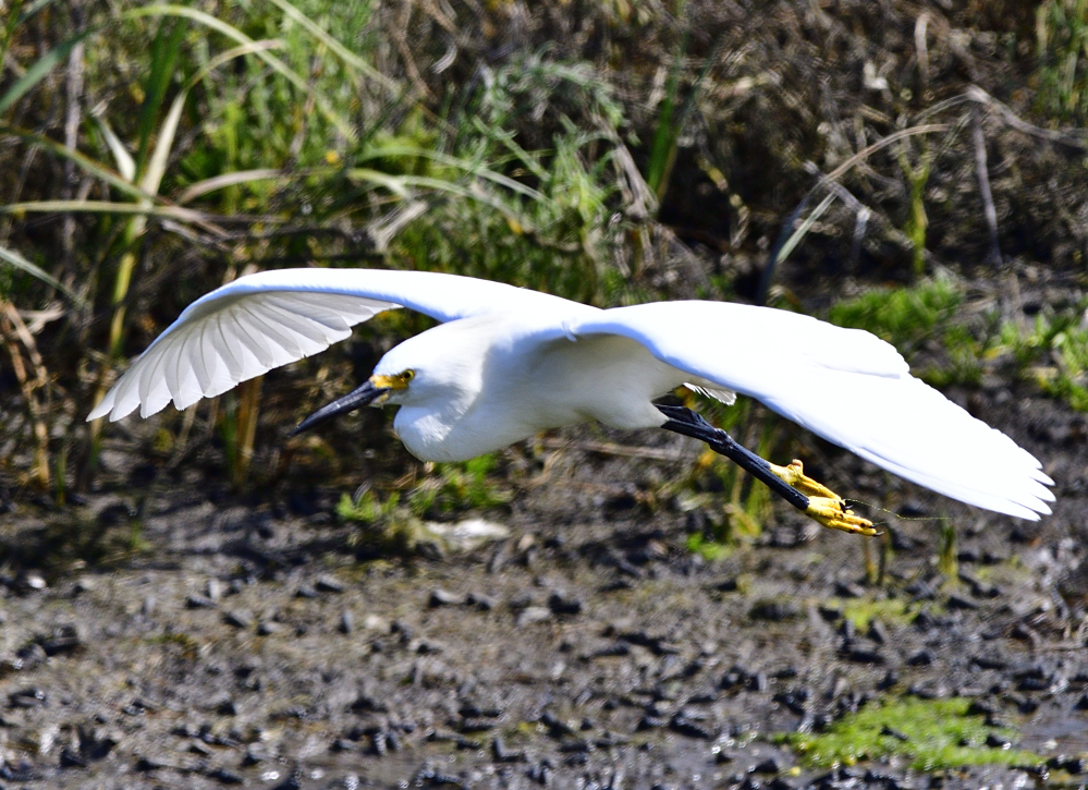 _ROY9503_00001.jpg