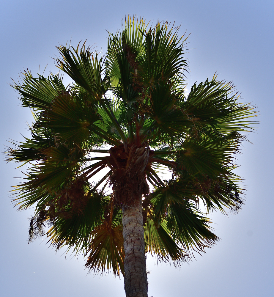 _ROY9534_00001.jpg