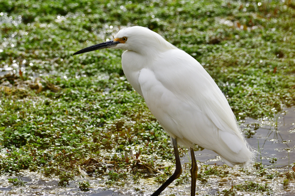 _ROY9563_00001.jpg