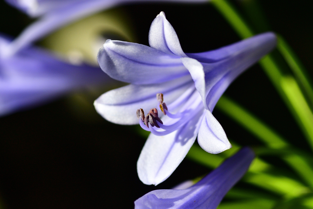 _ROY9570_00001.jpg