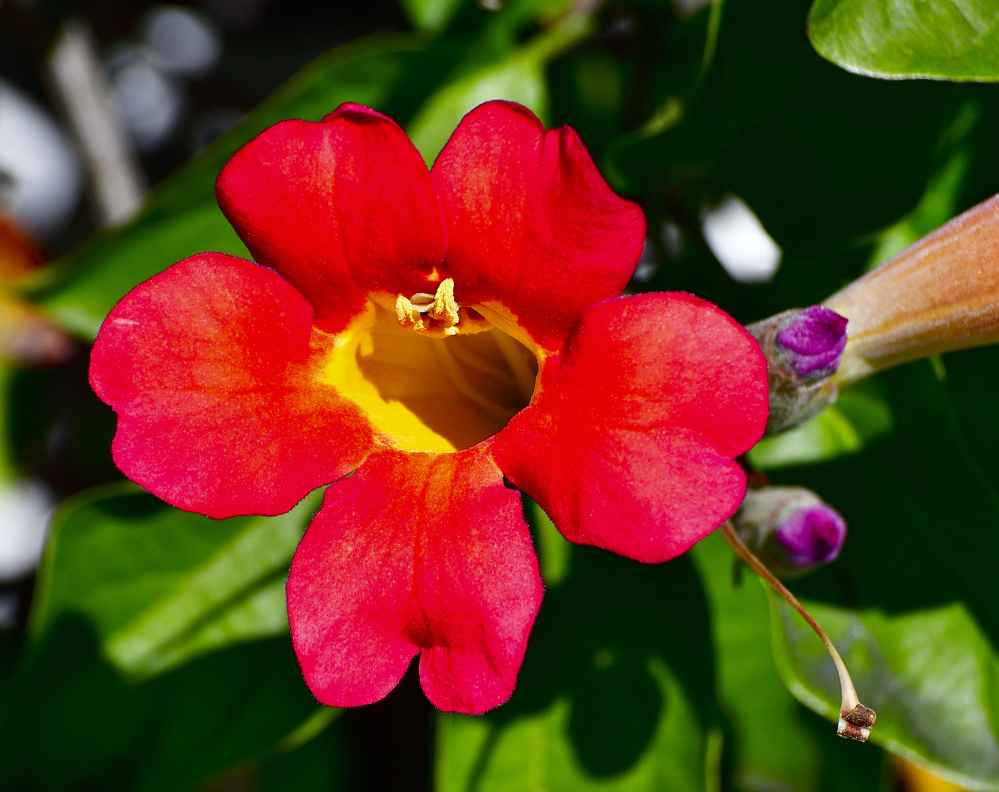 _ROY9579_01.jpg