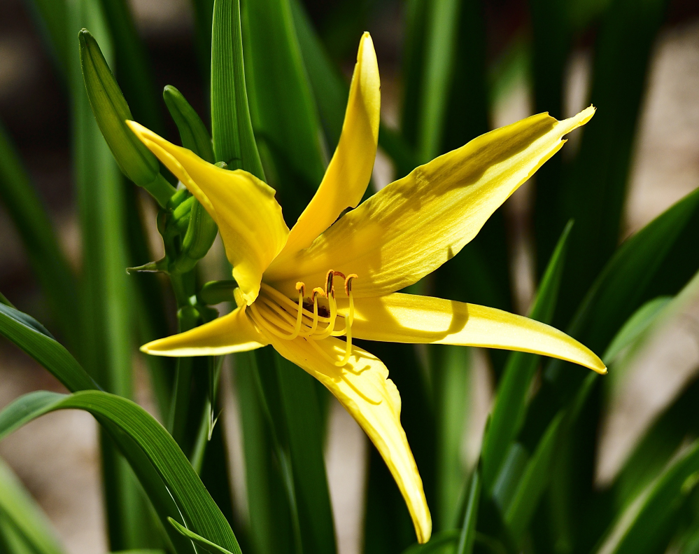 _ROY9638_00001.jpg