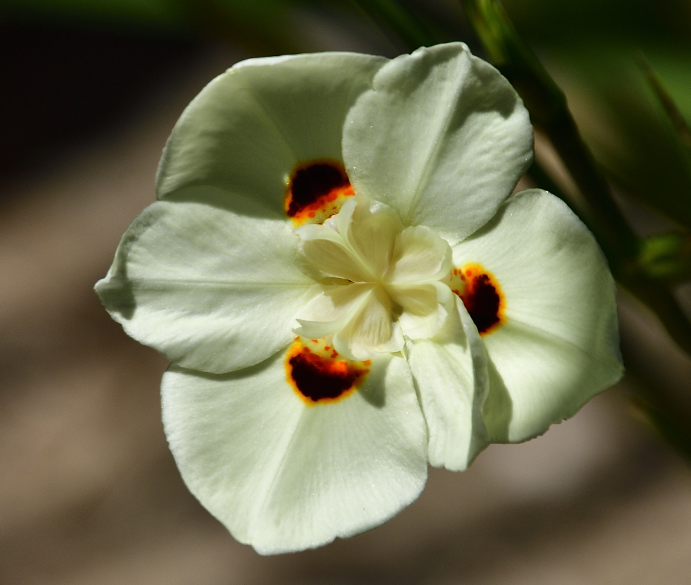 _ROY9685_00001.jpg