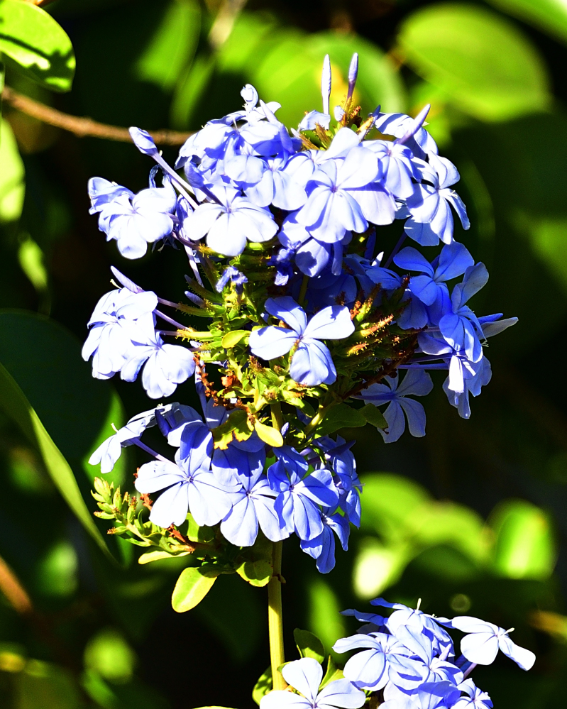 _ROY9816_00001.jpg