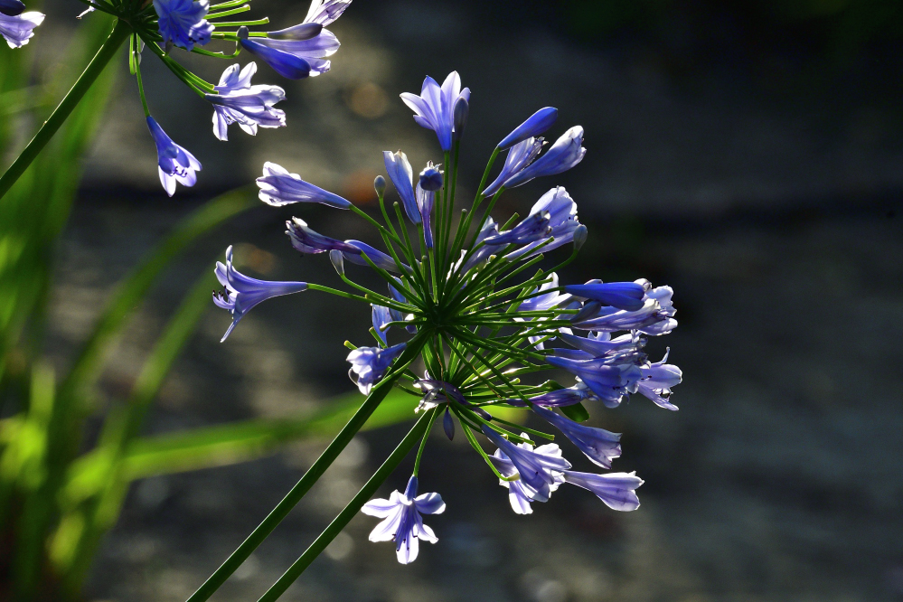_ROY9824_00001.jpg