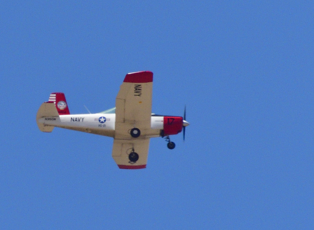 _ROY9878_00001.jpg