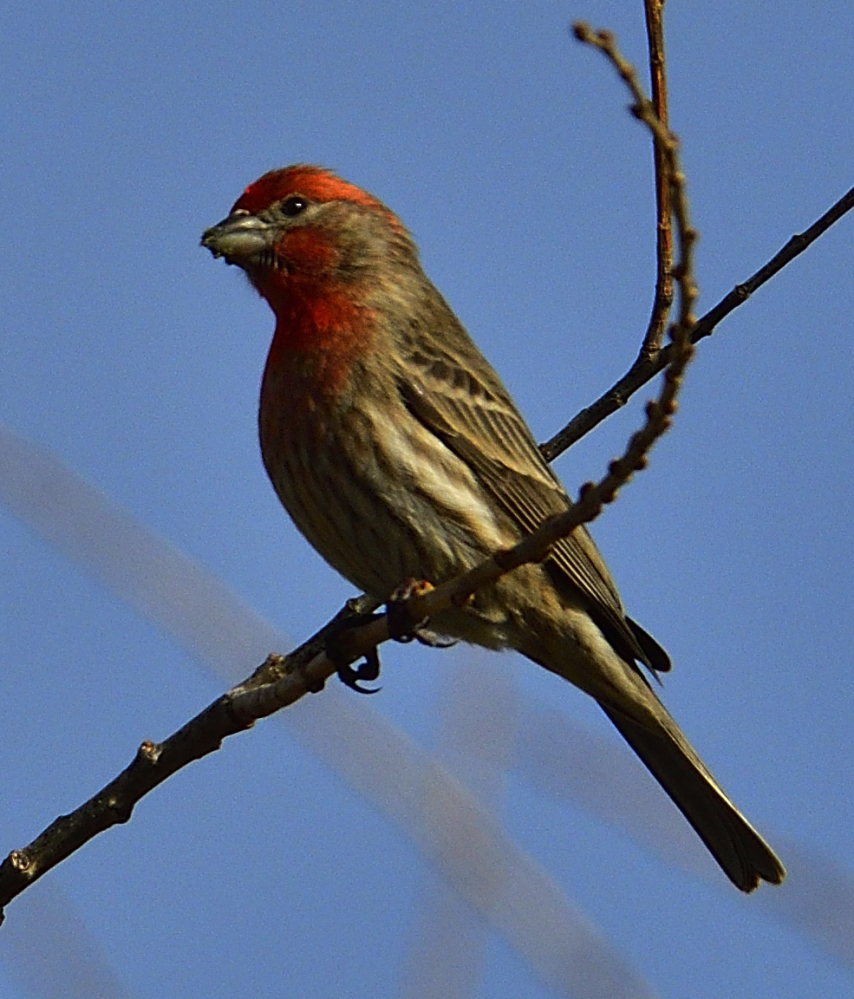 _ROY9880_00001.jpg