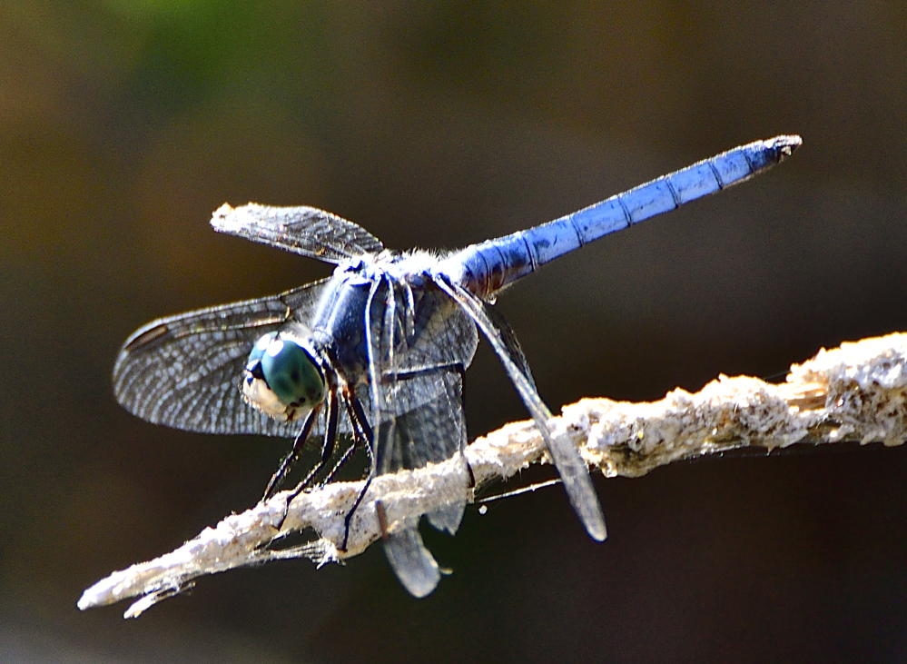 _ROY9883_00001_01.jpg