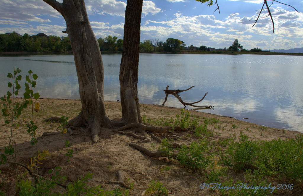 A. Adams Pond #2 9-21-2016.jpg