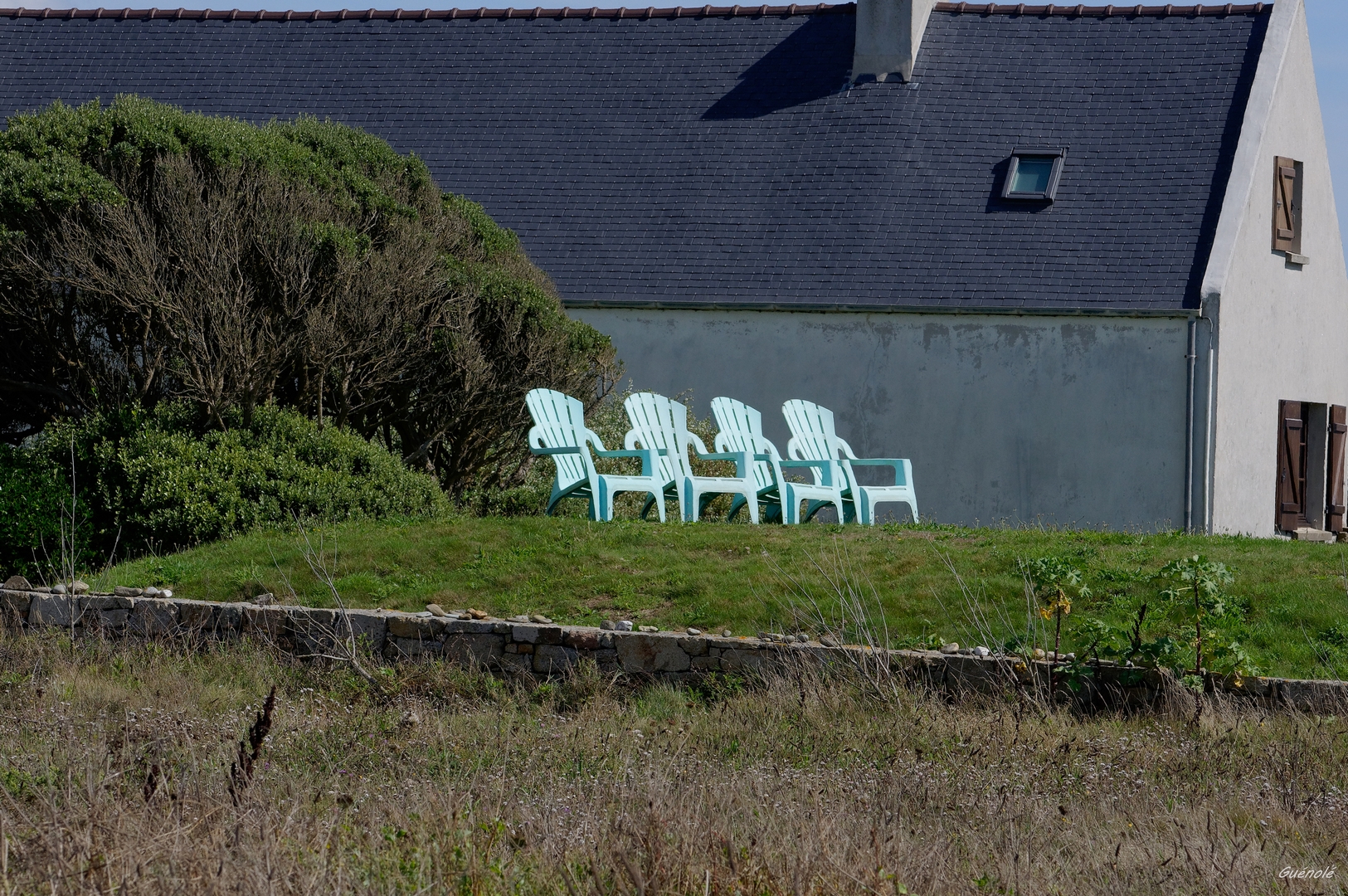 A louer_DxO 1080.jpg