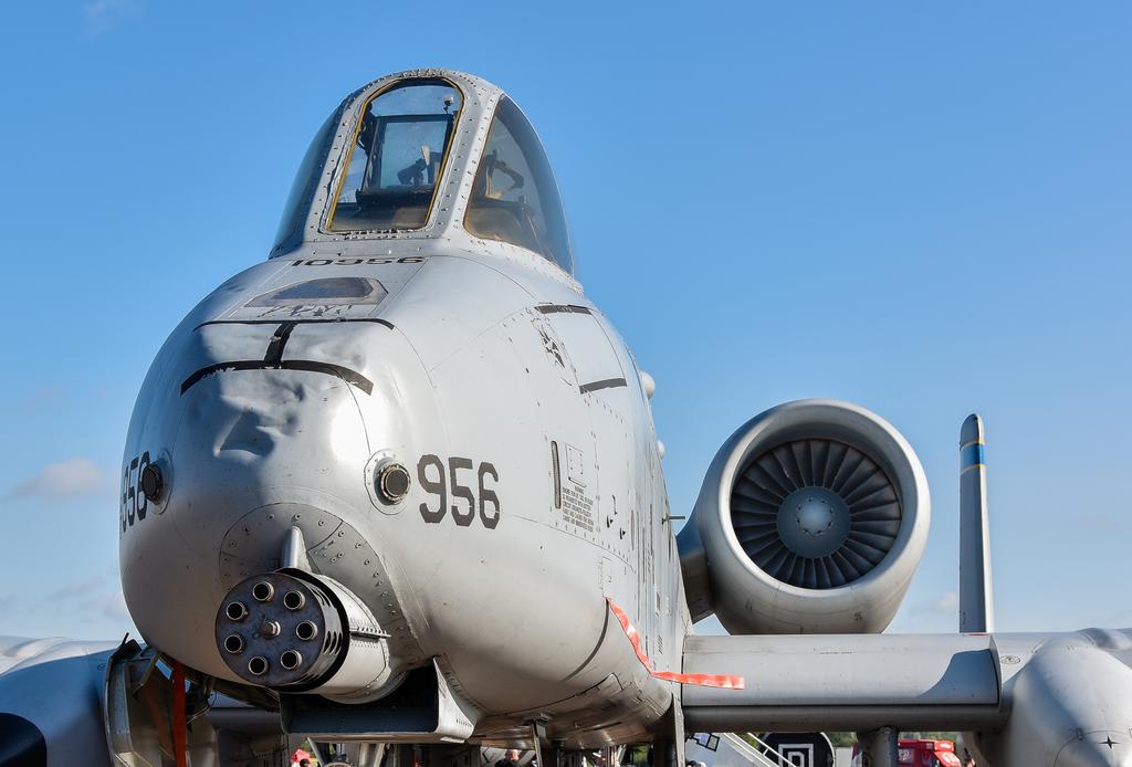 a10.jpg