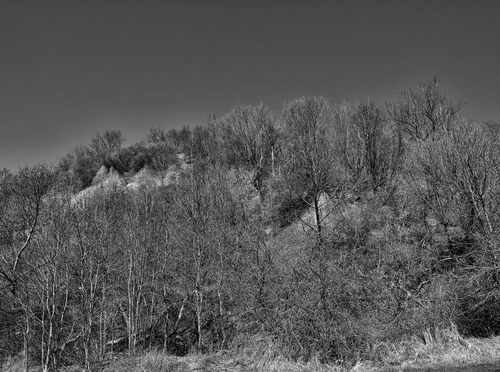 a13.jpg