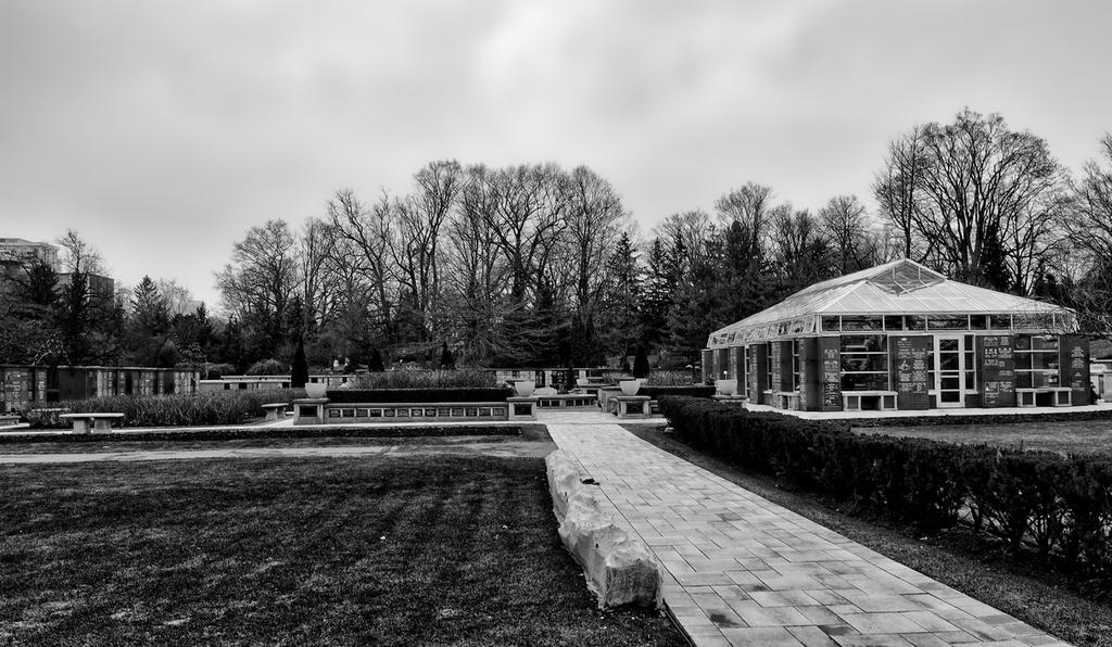 a49.jpg