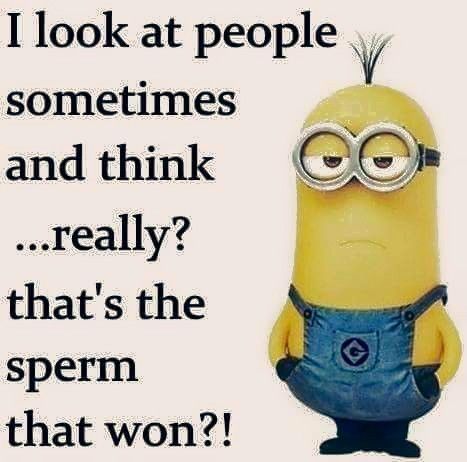 a7b8575d0653c5e69f4f6c47ddcbf53b.jpg