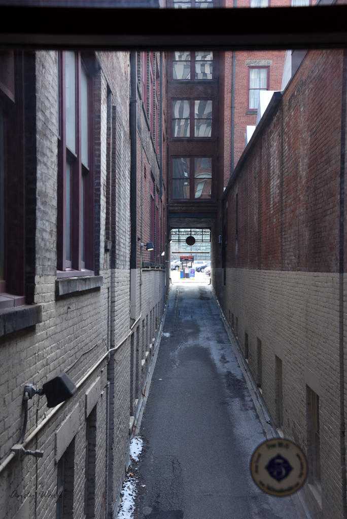 A81_0080.jpg