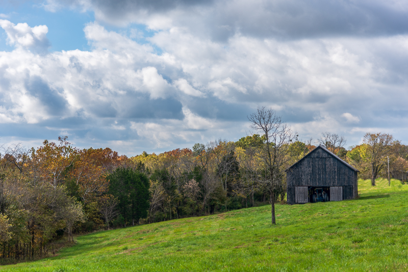 A81_3947-Edit.jpg