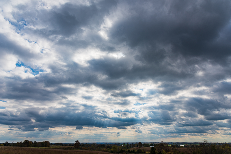 A81_3974.jpg