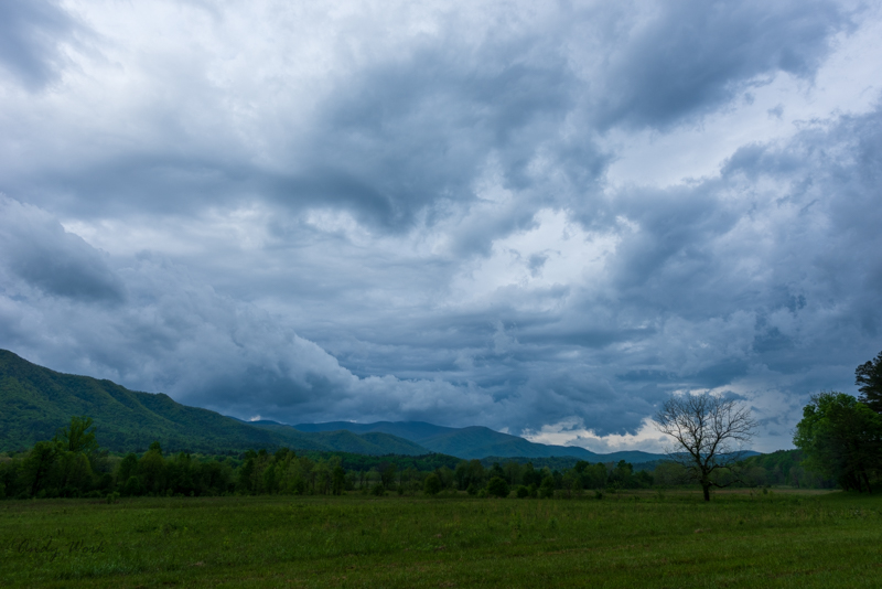 A81_4510.JPG