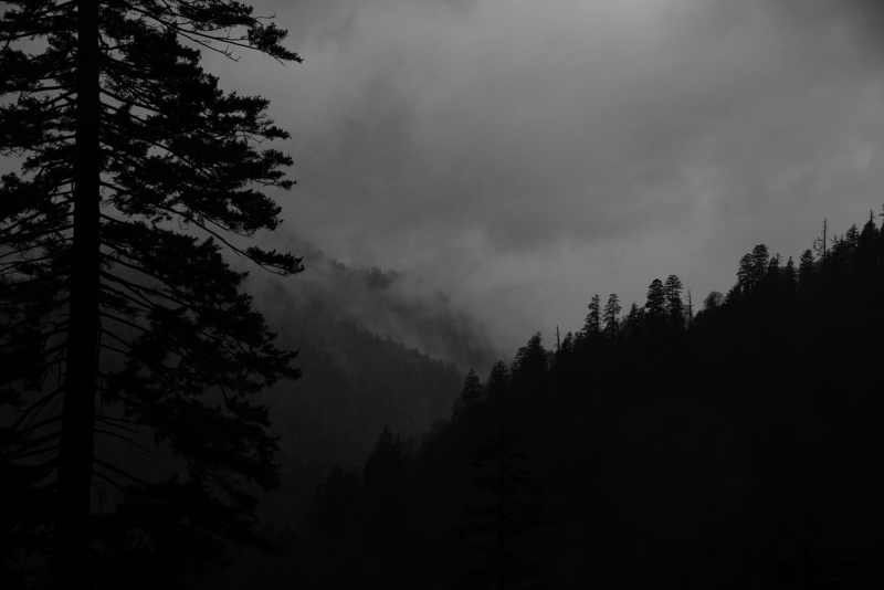 A81_4559.JPG