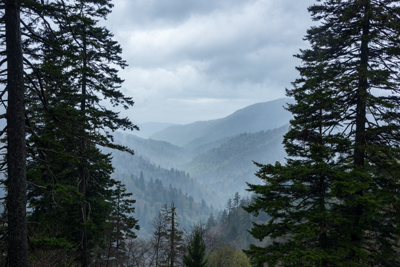 A81_4575.JPG