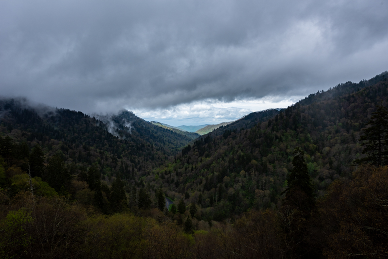 A81_4603.JPG