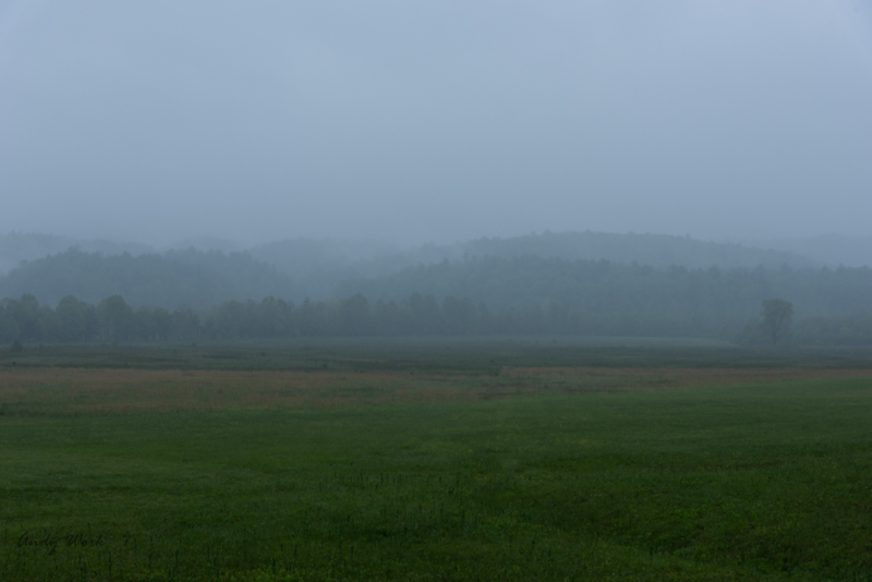 A81_4625-Edit.JPG