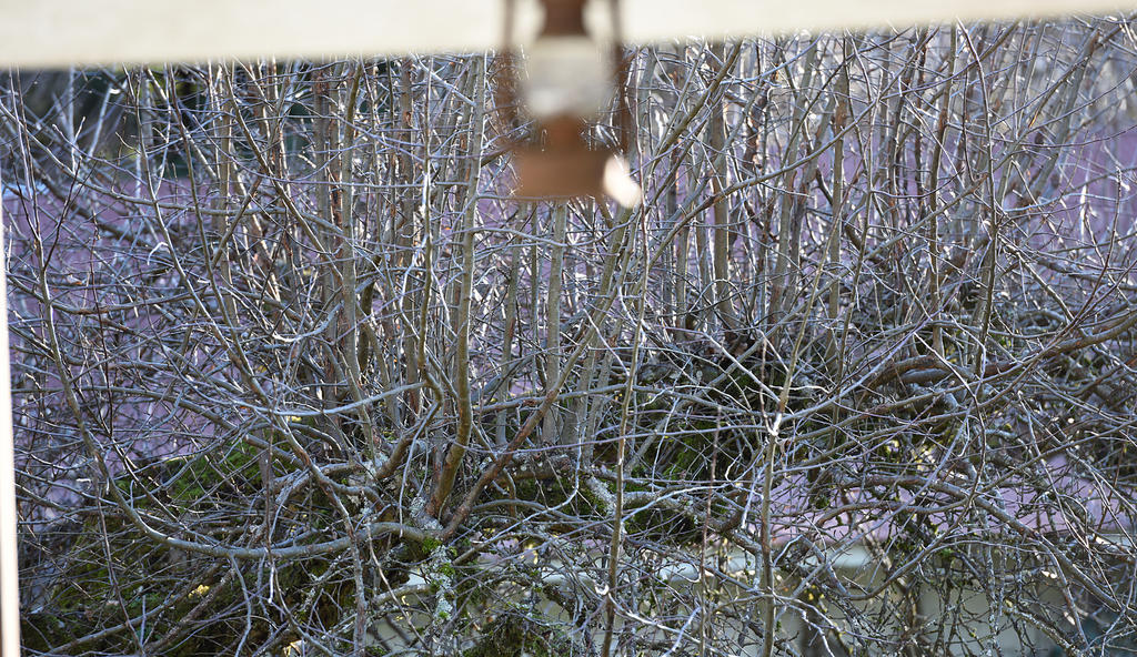 a_DSC_0038.jpg