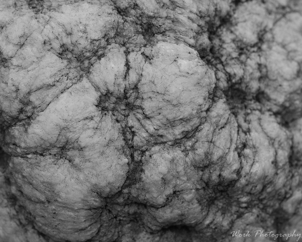 abstract-8935.jpg
