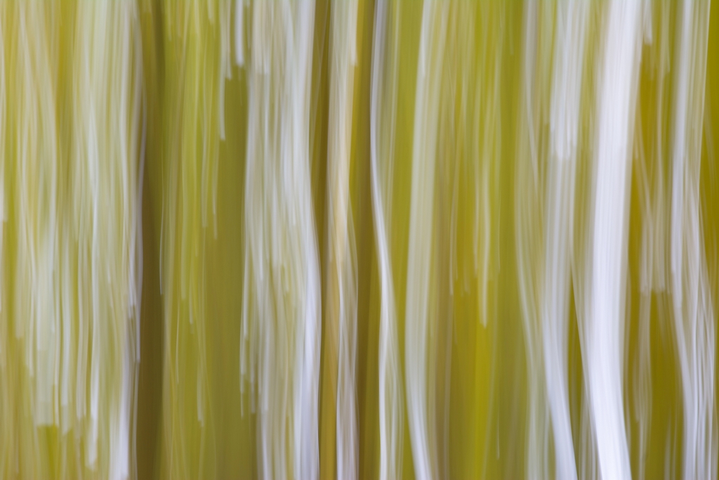 Abstract.jpg