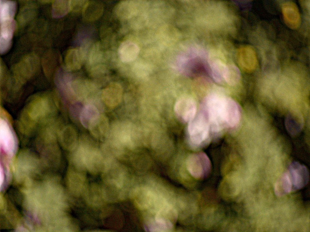 Abstraction2.jpg