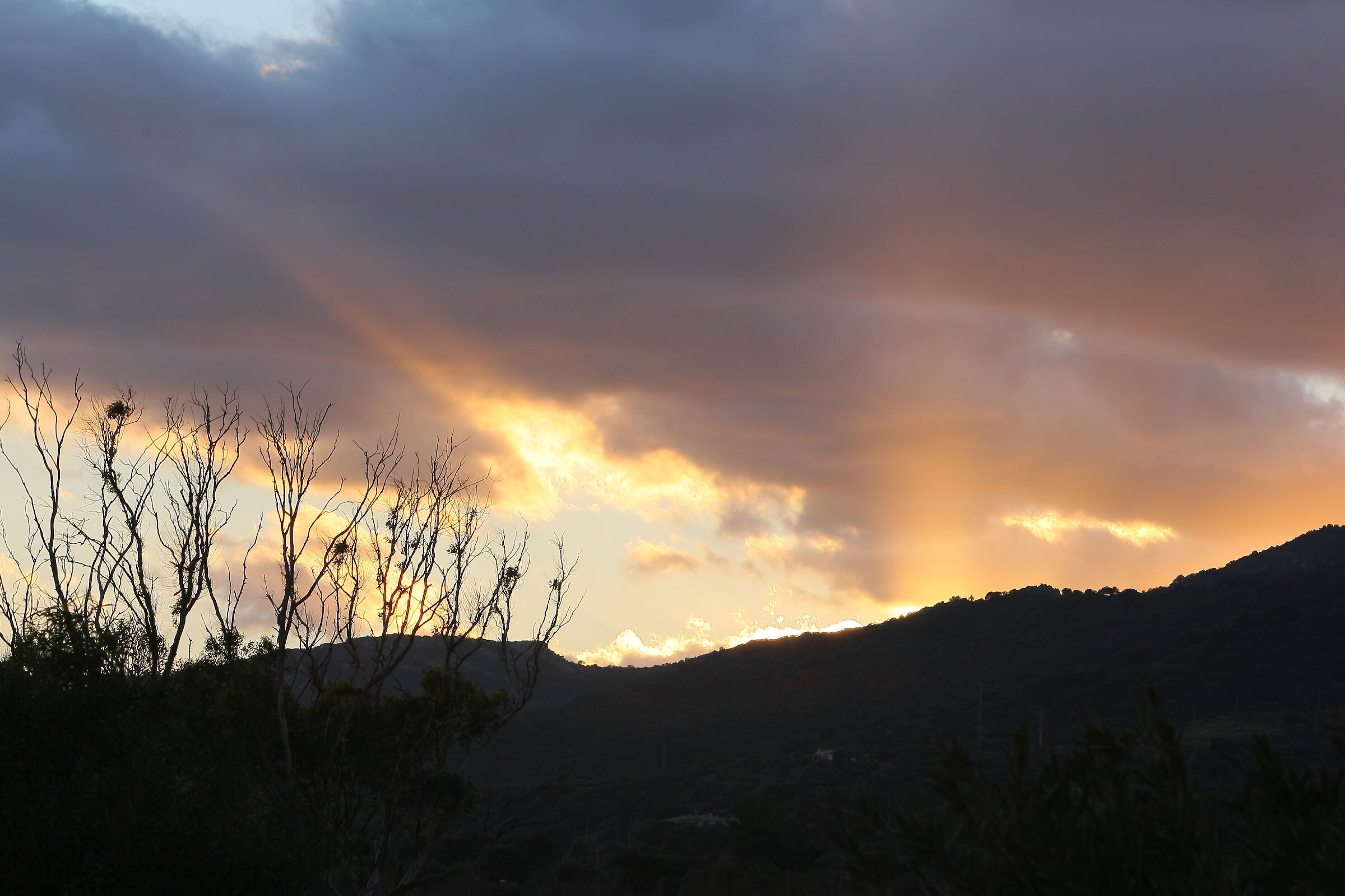 Adatta alla pagina5.jpeg