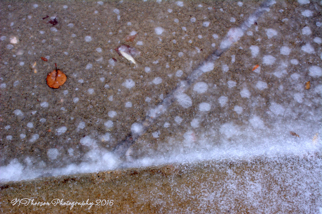 After the Hail Storm 12-16-2016.jpg