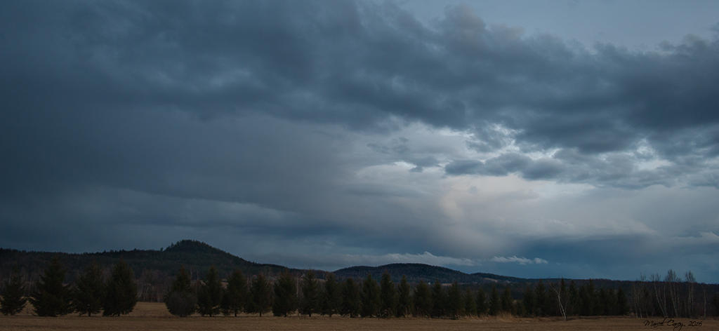 after the rain.jpg