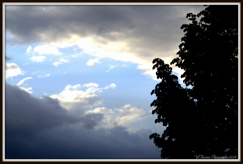 After the Rain.jpg