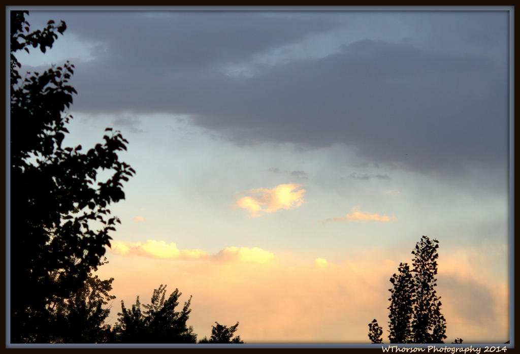 After the Storm.jpg