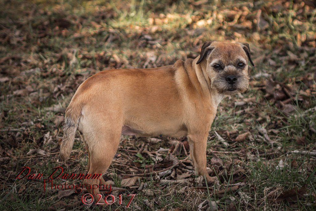 Afternoon Walk-1526.jpg