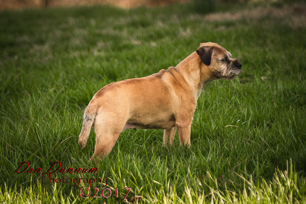 Afternoon Walk-1528.jpg