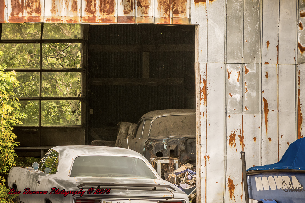 afternoon walk-4568-Edit.jpg