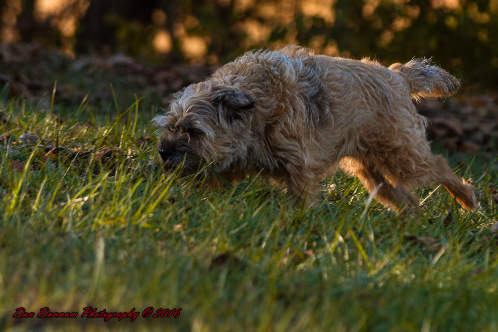 Afternoon Walk-7659.jpg