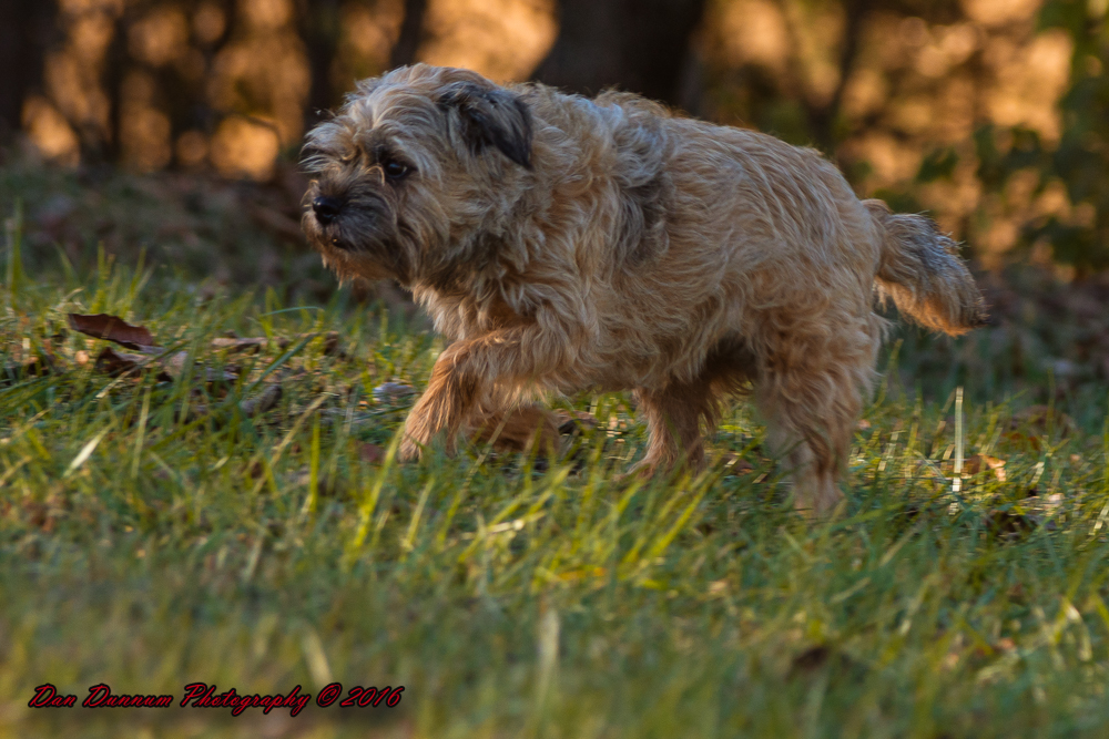 Afternoon Walk-7660.jpg