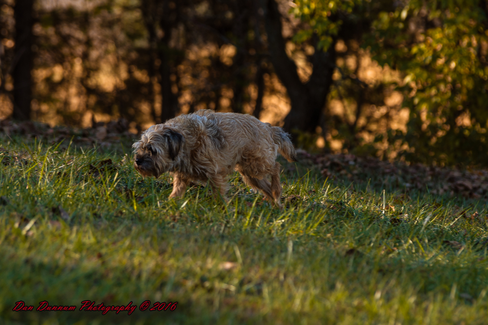 Afternoon Walk-7661.jpg