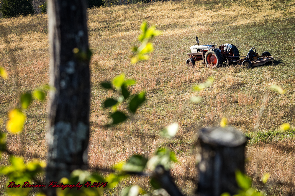 Afternoon walk JG-7243-Edit.jpg