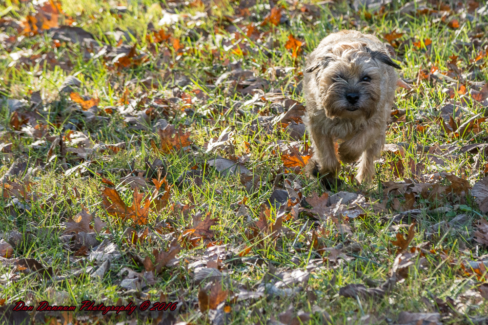 Afternoon walk JG-7264.jpg
