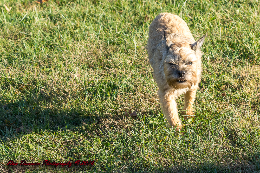 Afternoon walk JG-7295.jpg