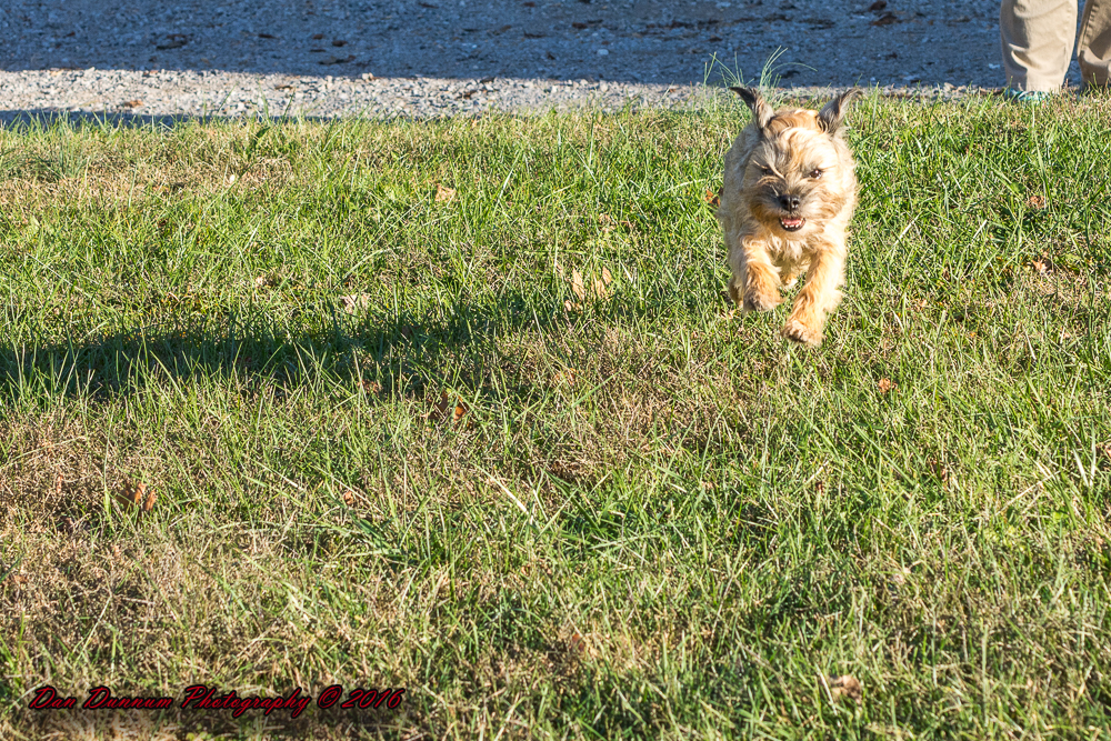 Afternoon walk JG-7309.jpg