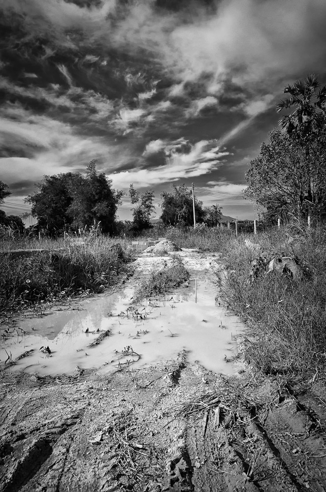 afterrain-1.jpg