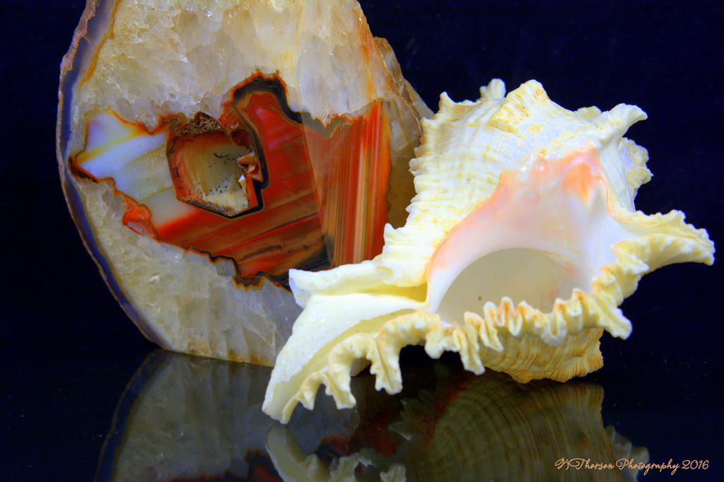 Agate and Crystal with Shell Reflected #2 7-29-2016.jpg