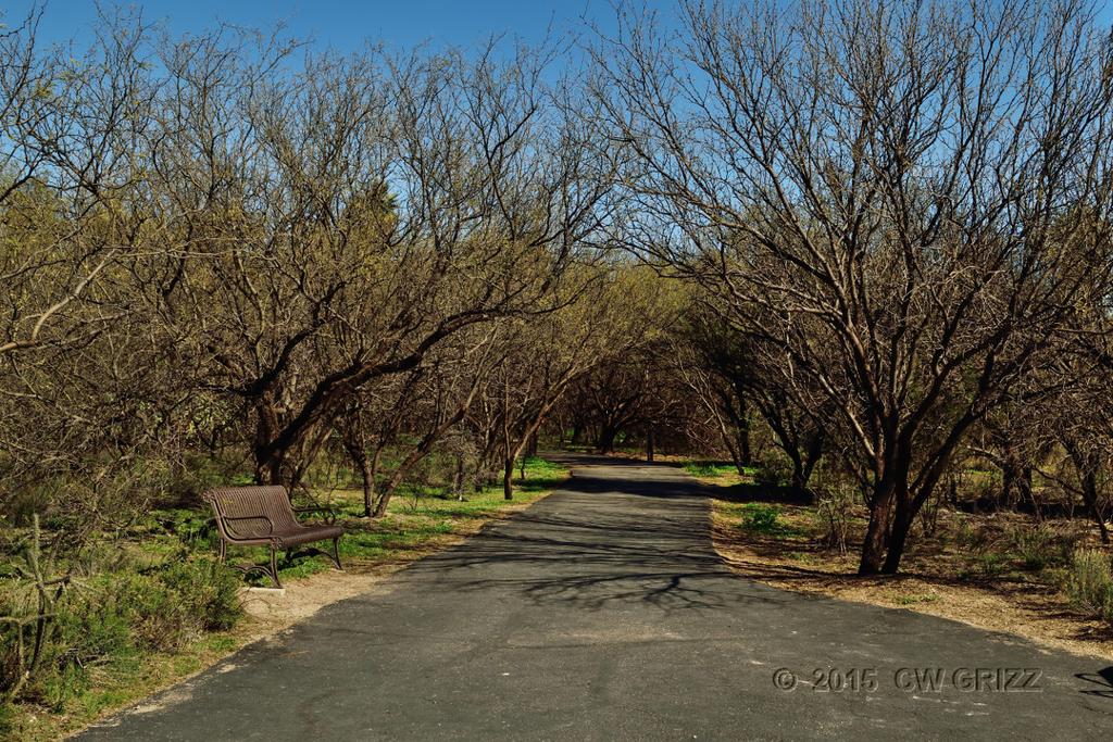 agua_c-path-a.jpg