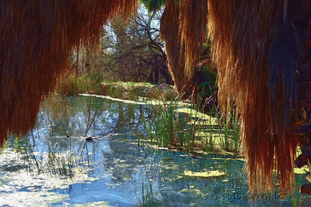 agua_c-reflect-a.jpg